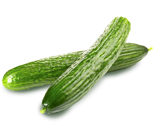 pepino-almeria