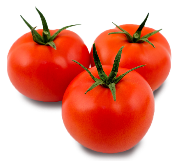 tomate-long-life